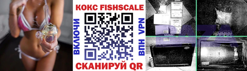 COCAIN Fish Scale купить Зеленоградск