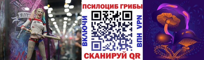 Псилоцибиновые грибы ЛСД  Зеленоградск 